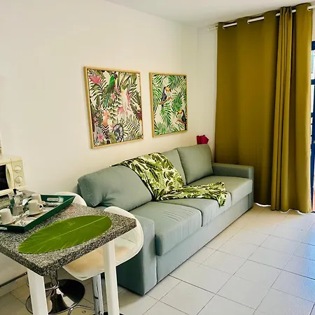 Apartment Playmar Tropical